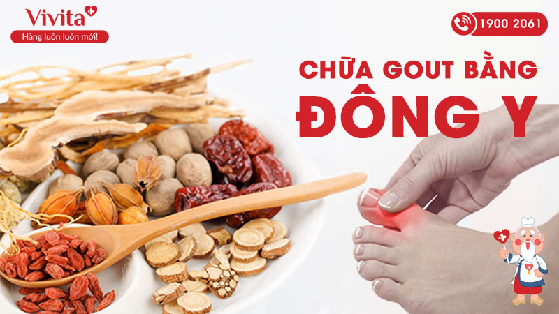 chữa gout bằng đông y 