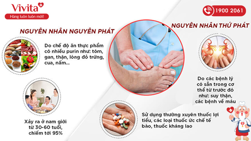 Nguyên nhân gây bệnh gout