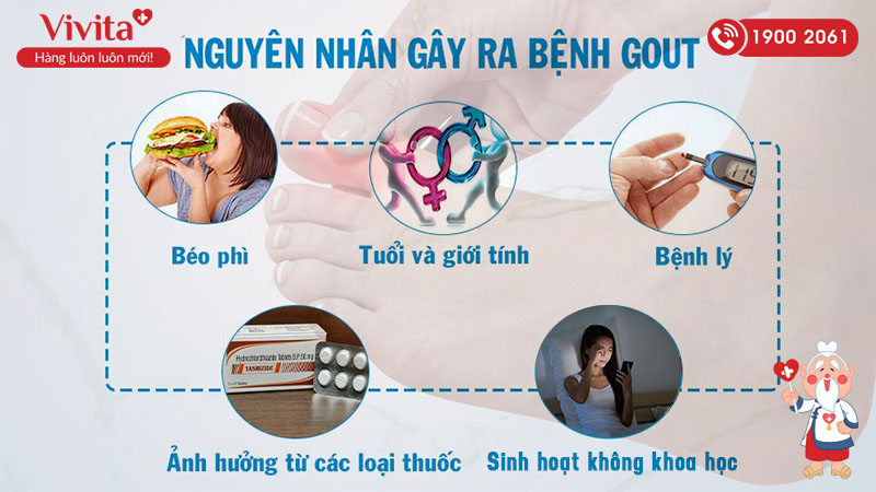 nguyên nhân gây ra bệnh gout