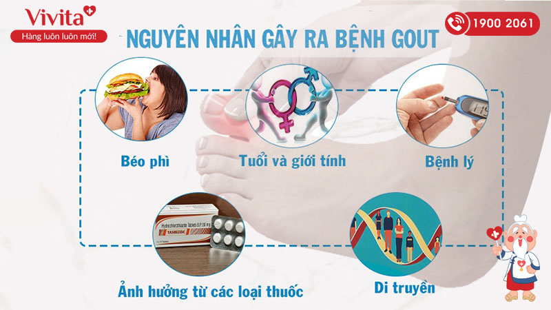 nguyên nhân gây ra bệnh gour