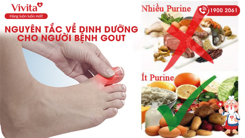 nguyên tắc về dinh dưỡng cho người bệnh gout