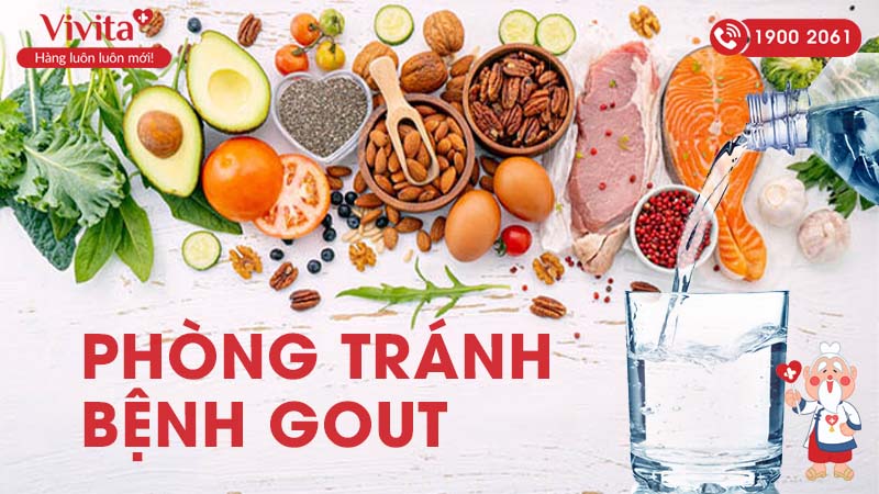 phòng tránh bệnh gout