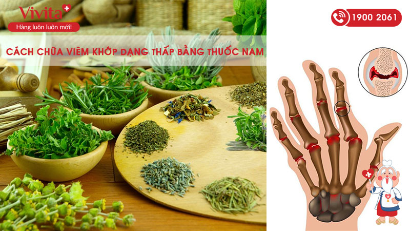 cách chữa viêm khớp dạng thấp bằng thuốc nam