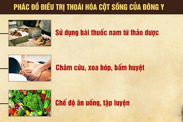 chua-thoai-hoa-cot-song-bang-dong-y-va-nhung-dieu-can-luu-y