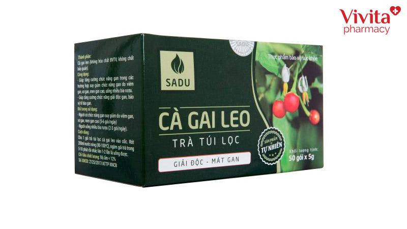 cà gai leo sadu