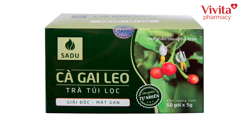 cà gai leo sadu