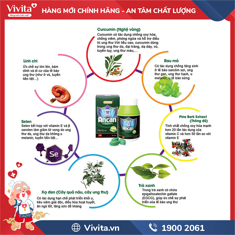 thành phần viên uống ancan