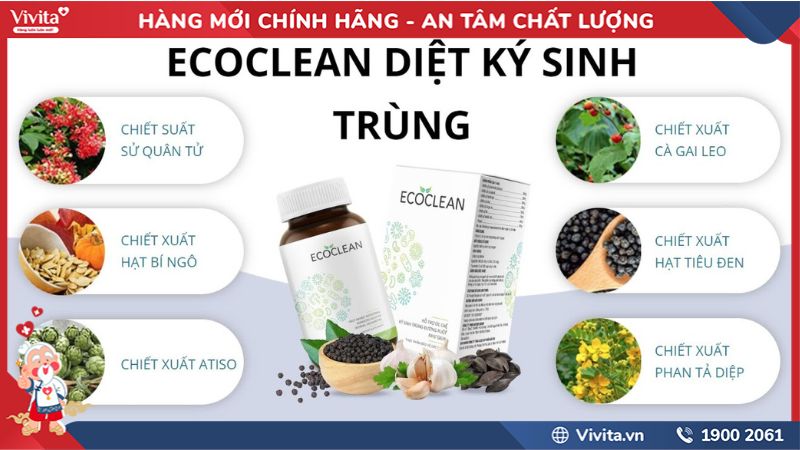 Thành phần viên uống hỗ trợ tiêu diệt kí sinh trùng Ecoclean