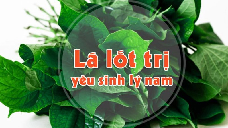 cay thuoc nam chua yeu sinh ly