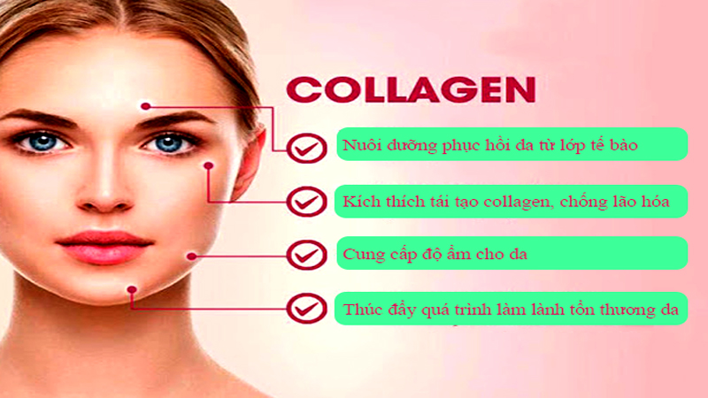 cong dung cua collagen 