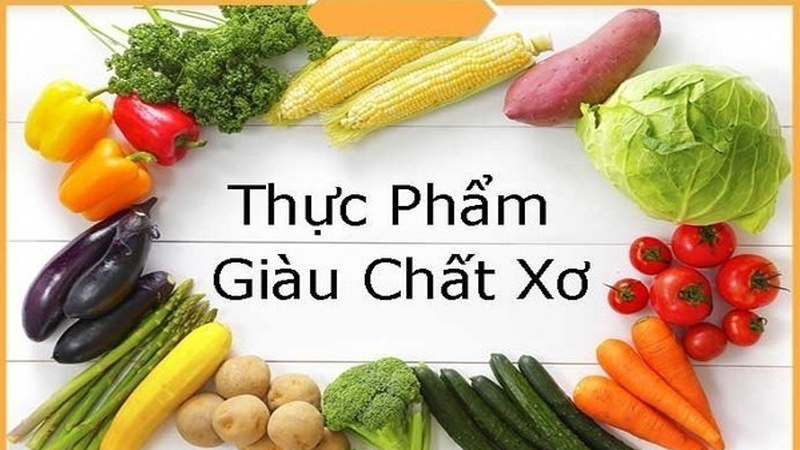 cung cap thuc pham giau chat xo chua benh tri