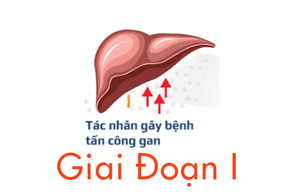 giai-doan-1-so-gan