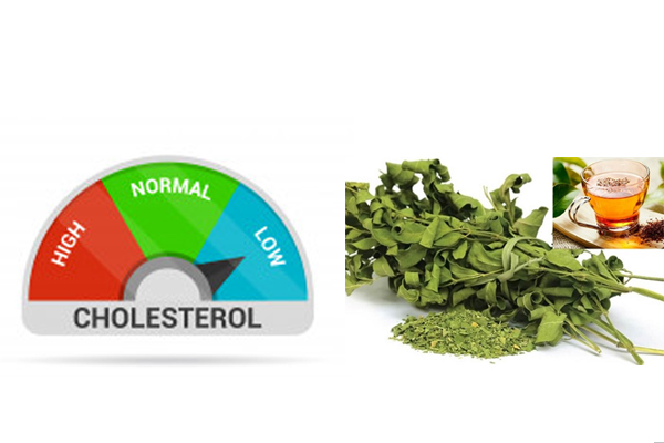 giam-thieu-cholesterol-xau-trong-mau