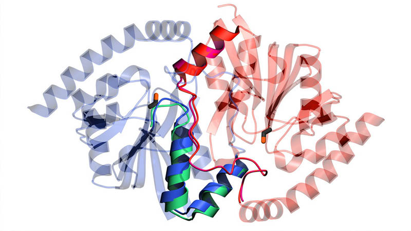 enzyme là gì vivita