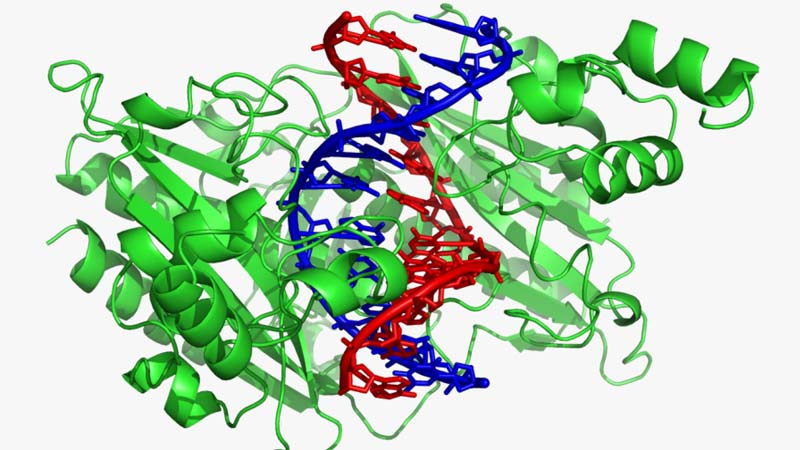 tính chất của enzyme vivita