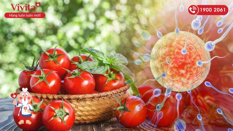 lycopene trong cà chua giúp tăng chất lượng tinh trùng