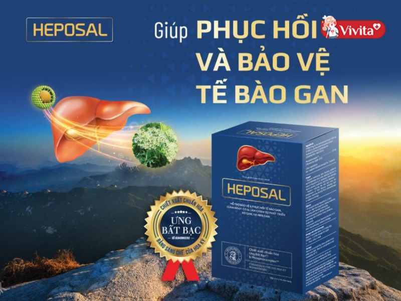 Viên uống hỗ trợ điều trị gan nhiễm mỡ Heposal