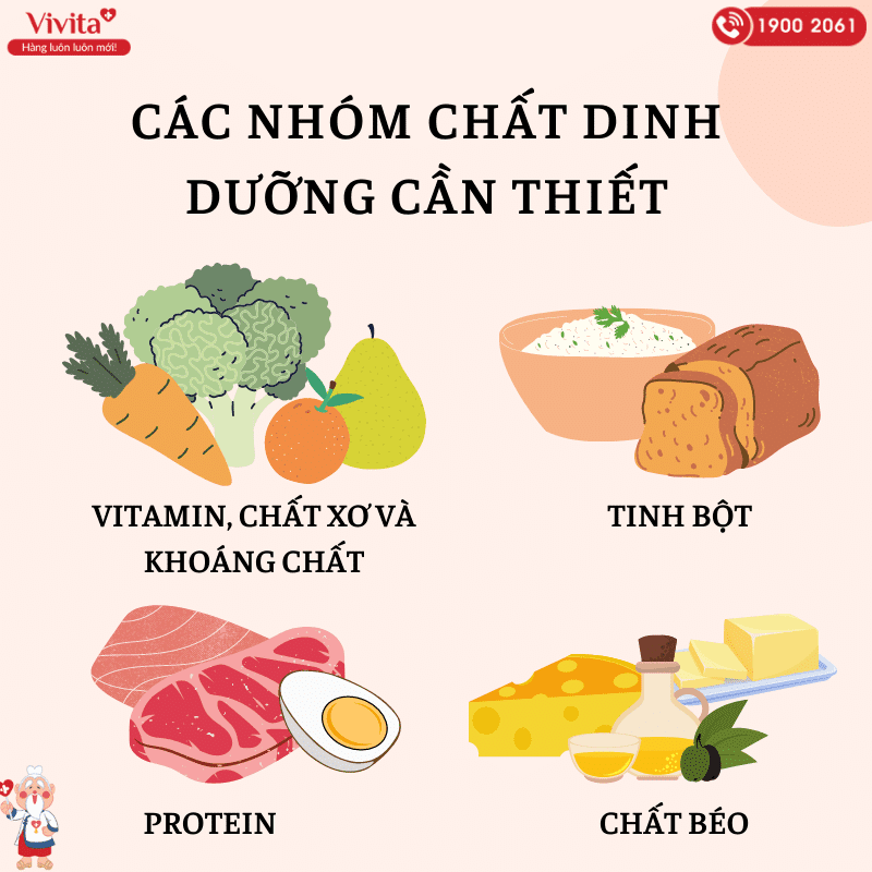 Cần lưu ý bổ sung đầy đủ các nhóm chất dinh dưỡng trong chế độ ăn uống hàng ngày.