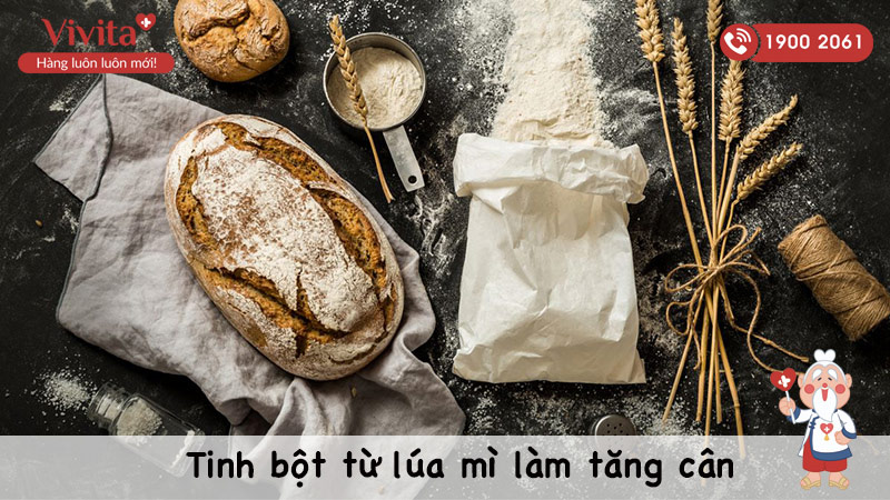 lúa mì nhiều tinh bột làm tăng cân