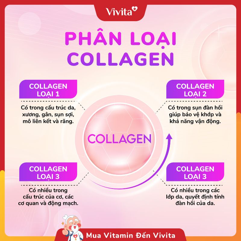 phan loai collagen tyle 1 tyle 2 tyle 3 tyle 4