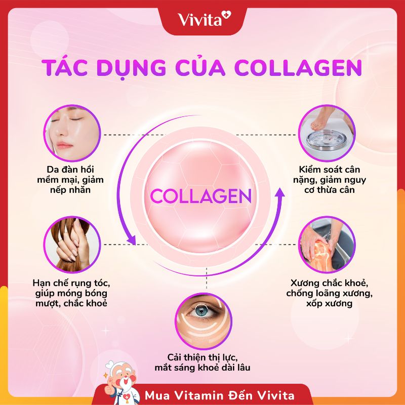 tac dung cua collagen vơi lan da va suc khoe