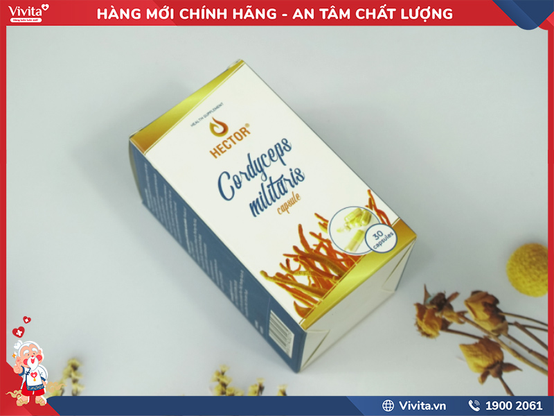 công dụng viên uống đông trùng hạ thảo hector