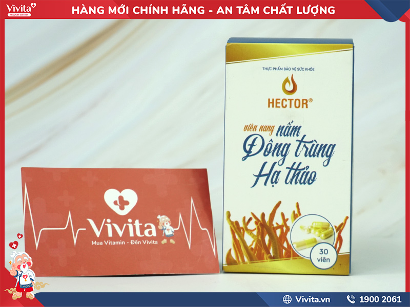 đối tượng sử dụng viên uống đông trùng hạ thảo hector