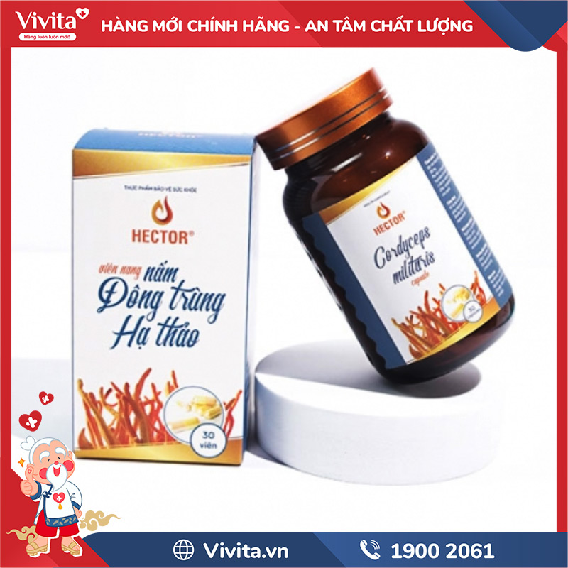 lưu ý khi dùng viên đông trùng hạ thảo hector