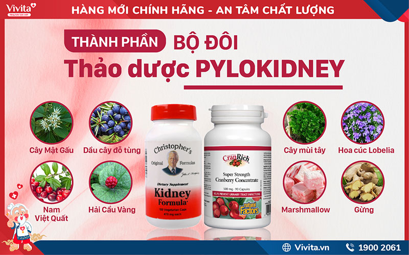 thành phần bộ đôi thảo dược pylokidney