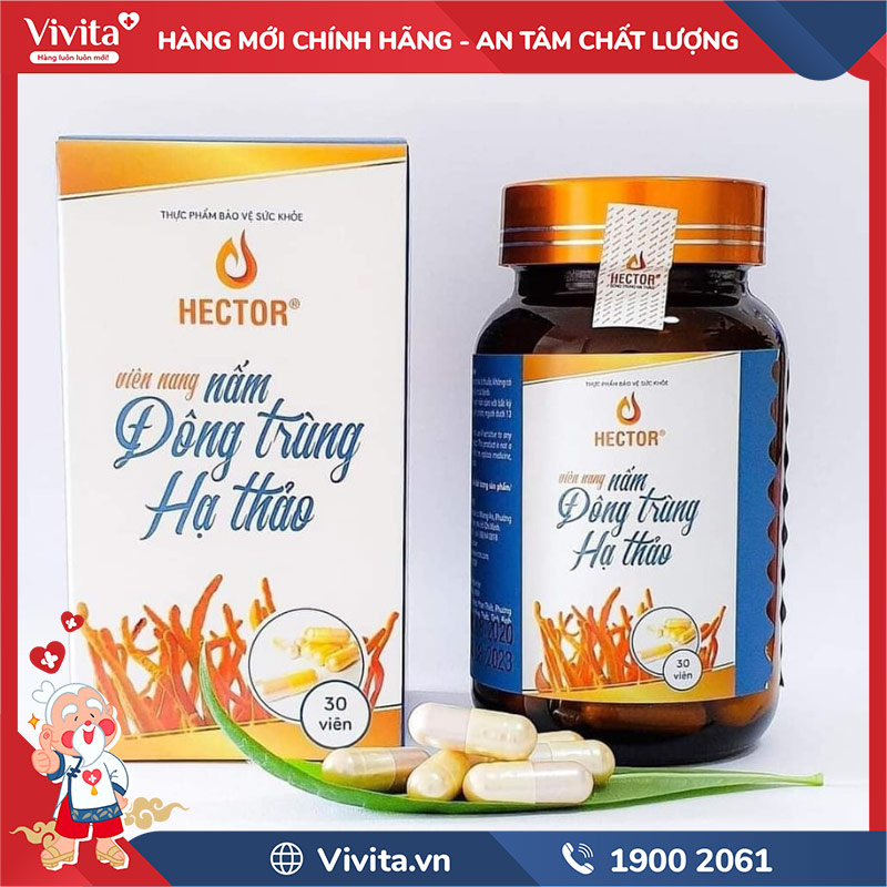 thành phần viên đông trùng hạ thảo hector