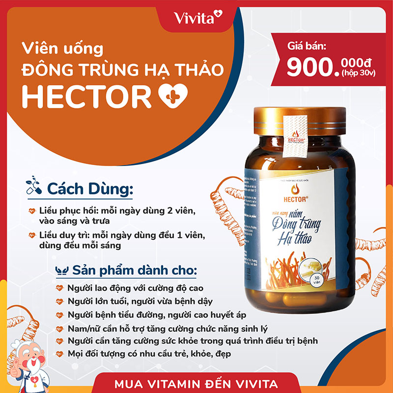 viên uống đông trùng hạ thảo hector