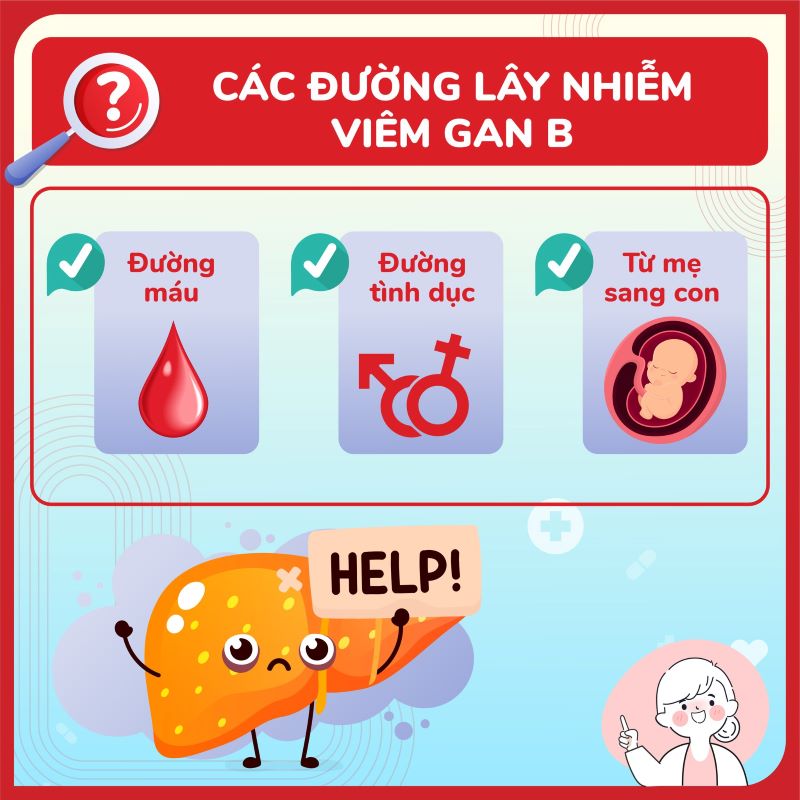 các con đường lây truyền viêm gan B