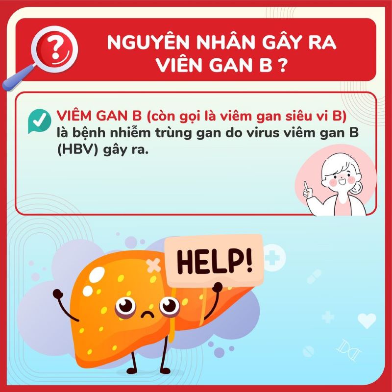 nguyên nhân gây ra viêm gan B