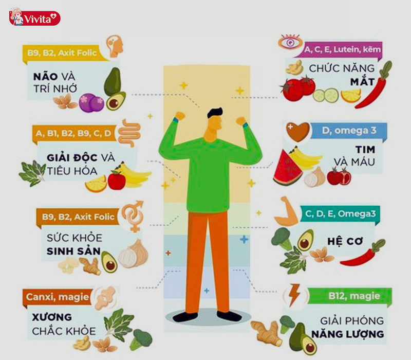 Vitamin đóng vai trò quan trọng trong việc phục hồi sức khoẻ, đặc biệt là khi cơ thể mệt mỏi, mới bị ốm dậy