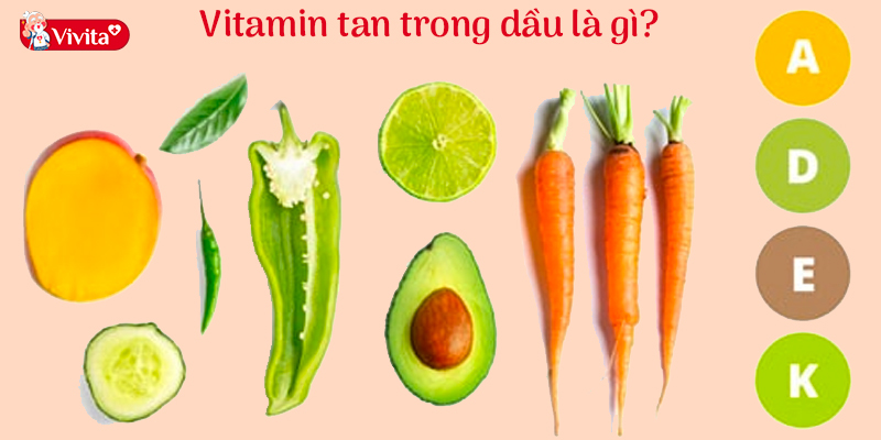 Vitamin tan trong dầu là loại vitamin hòa tan được trong dầu, chúng chỉ được hấp thụ vào cơ thể thông qua các mô mỡ cùng với chất béo