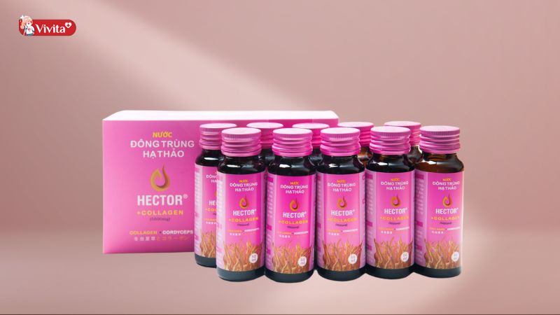 Nước đông trùng hạ thảo Hector collagen