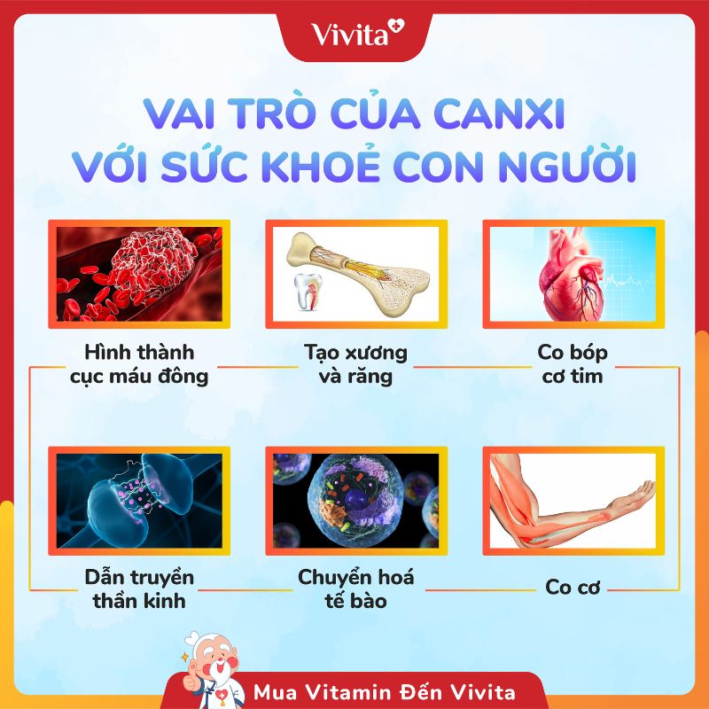 Tác dụng của Canxi với xương sức khỏe con người