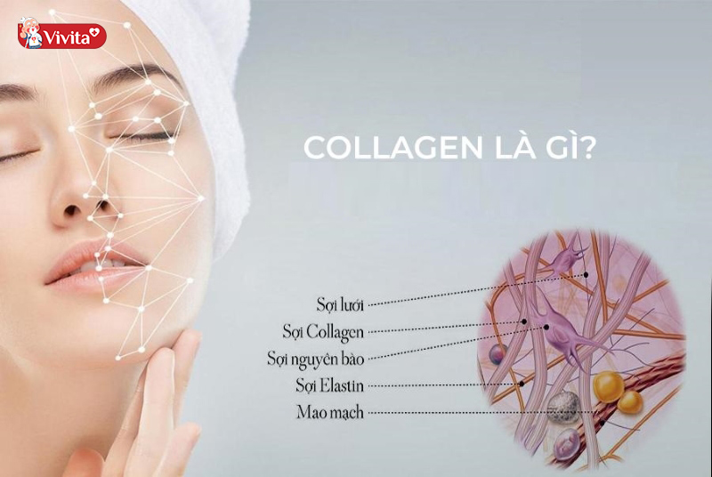 Collagen là gì