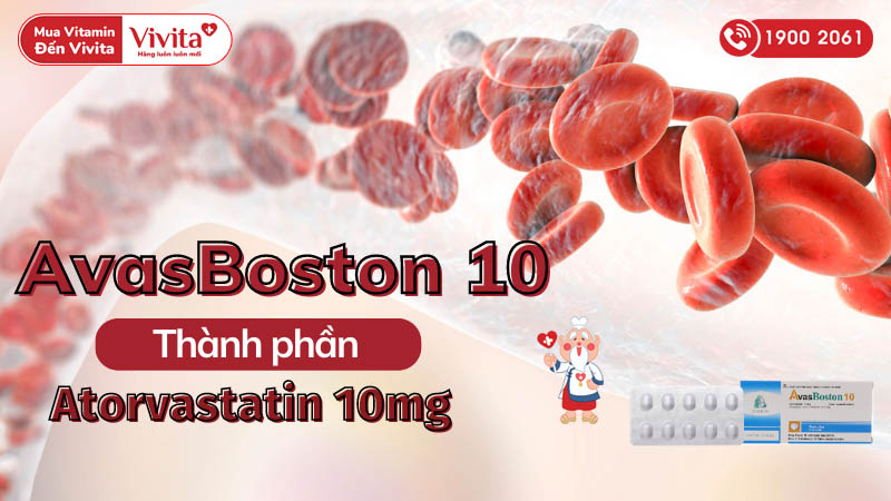 Thành phần thuốc trị mỡ máu AvasBoston 10