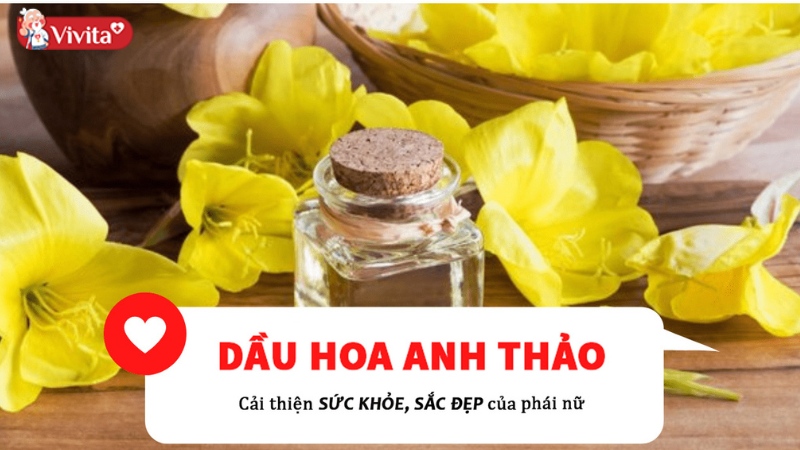 Tác dụng của tinh dầu hoa anh thảo hõ trợ cân bằng nội tiết tố