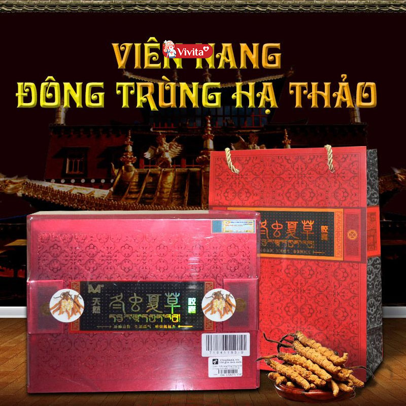 Viên nang đông trùng hạ thảo nhập khẩu Trung Quốc