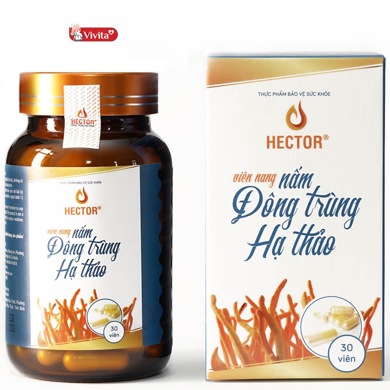 Viên Đông Trùng Hạ Thảo Hector hỗ trợ tăng cường sức khoẻ người bệnh hiệu quả