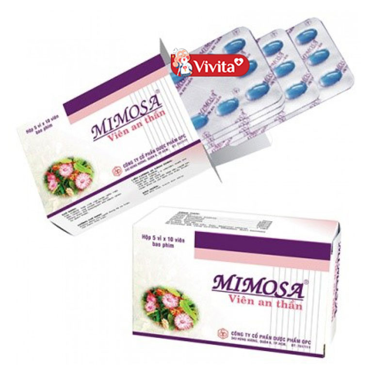 Thuốc trị mất ngủ từ cây vong nem Mimosa