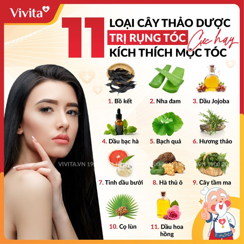 11 thảo dược trị rụng tóc kích thích mọc tóc chị em ưa chuộng