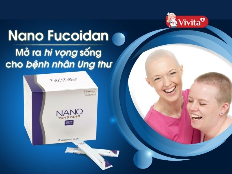 Nano Fucoidan Extract dạng bột hấp thụ nhanh