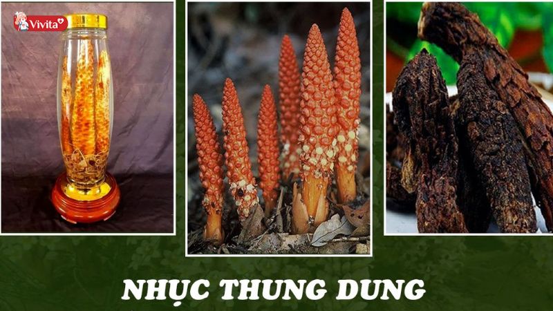 nhục thung dung ngâm rượu