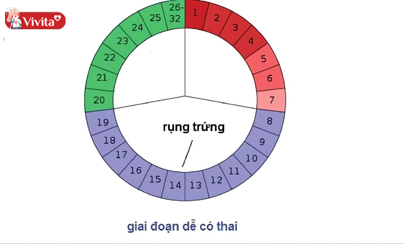 Quan hệ đúng ngày trứng rụng