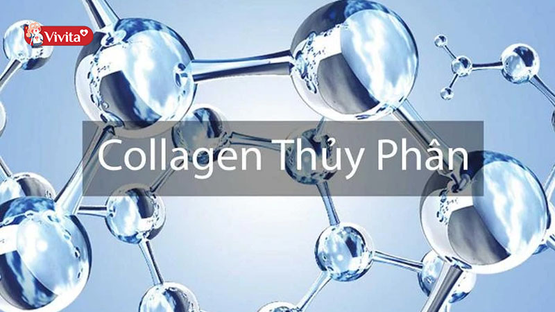 Tuổi trung niên uống collagen loại nào tốt