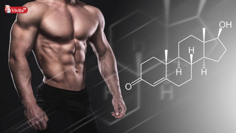 Hỗ trợ tăng testosterone, tăng cường sinh lý