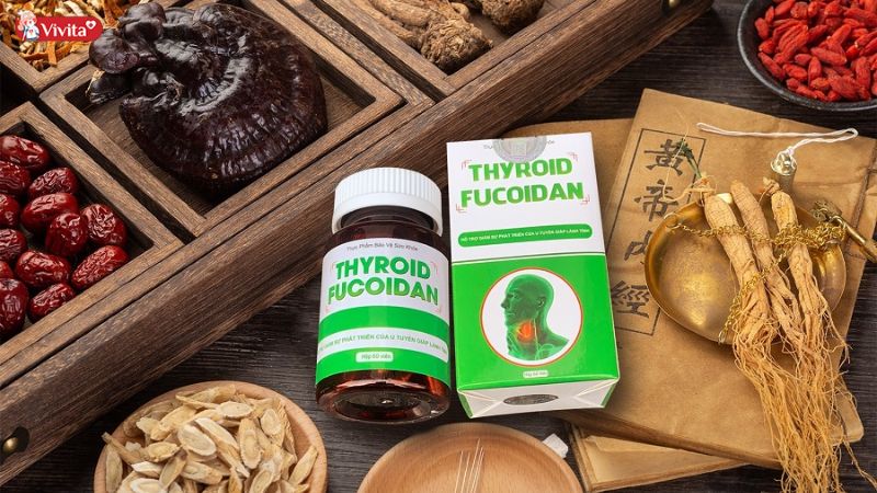 Công dụng của Thyroid Fucoidan